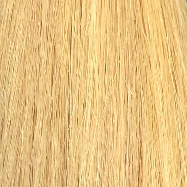 Ash Platinum color swatch by SL raw Virgin Hair