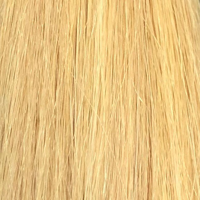 Ash Platinum color swatch by SL raw Virgin Hair 