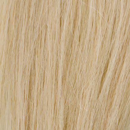 Color of InvisiLuxe™ Seamless Clip In Hair Extensions - Blonde #613