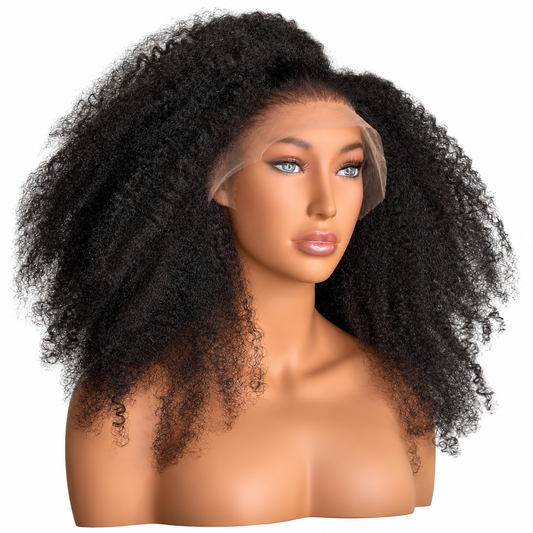 SL Raw Soft Kinky Curly 20-inch lace front wig featuring voluminous natural black curls and 13x6 frontal lace on a mannequin