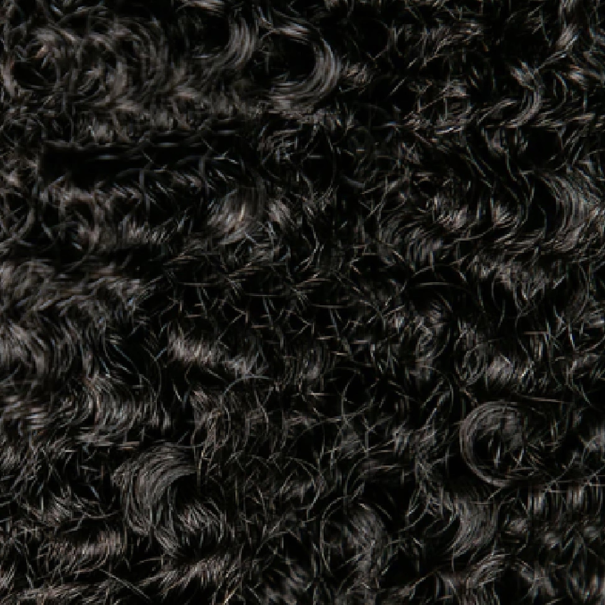 Afro kinky curly hair texture swatch
