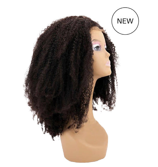 Afro Kinky Texture Closure Wig