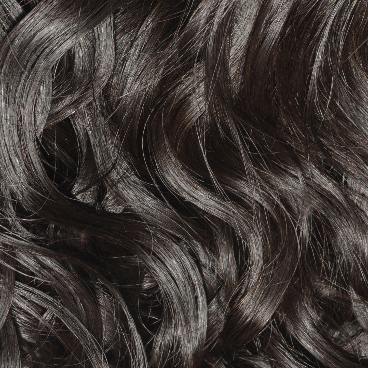 SL Raw Loose Curly