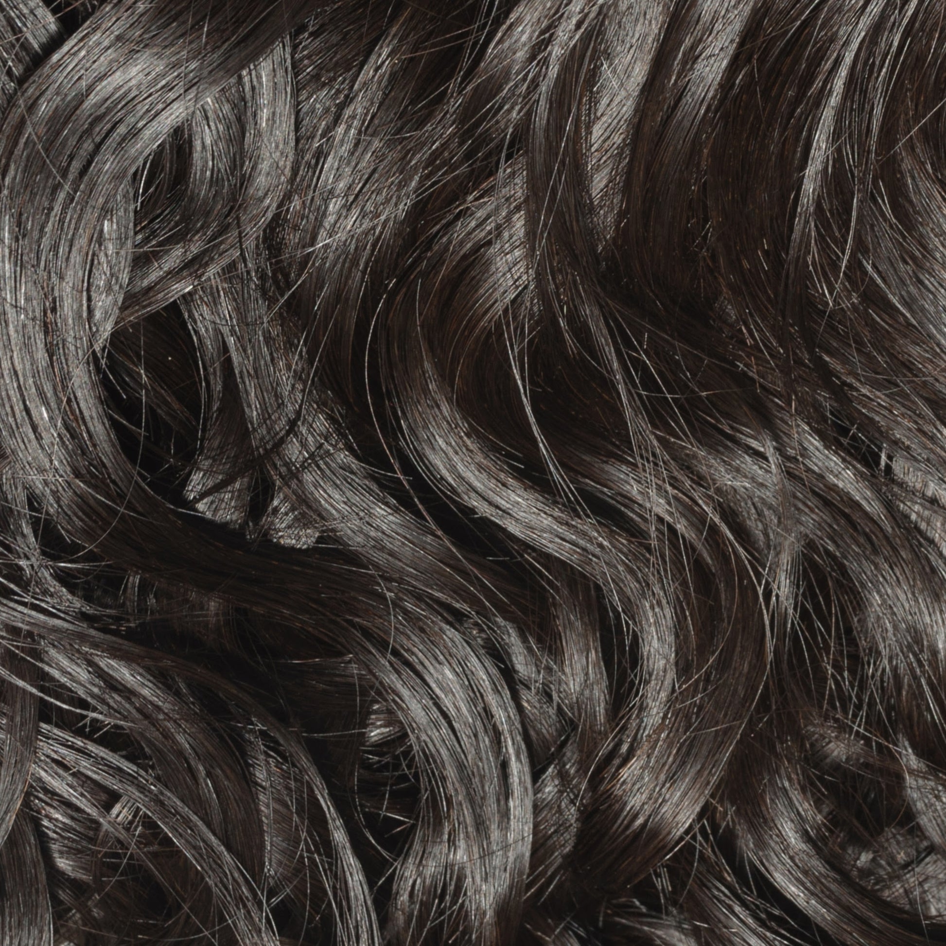 SL Raw Loose Curly